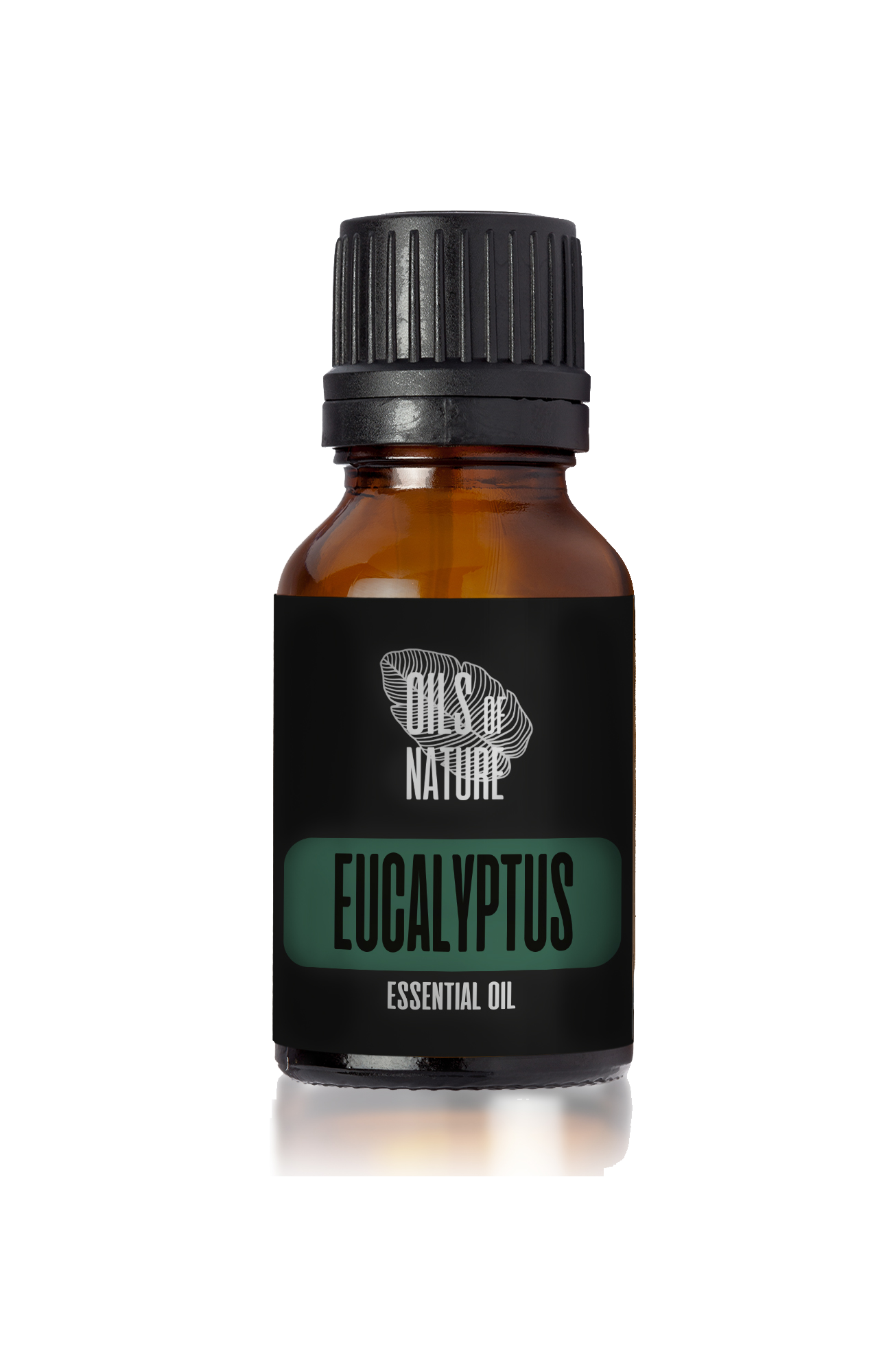 Eucalyptus Essential Oil 5 ml