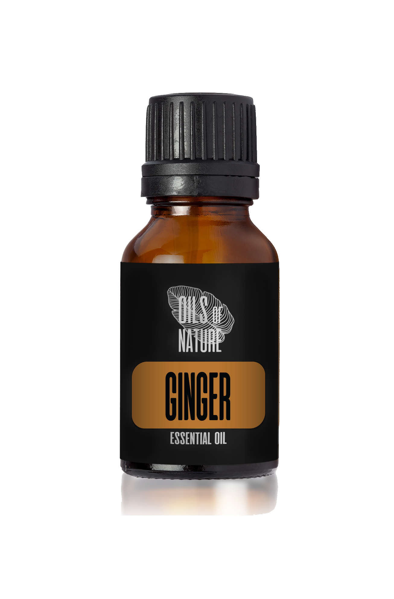 Ginger Essential Oil 5 ml